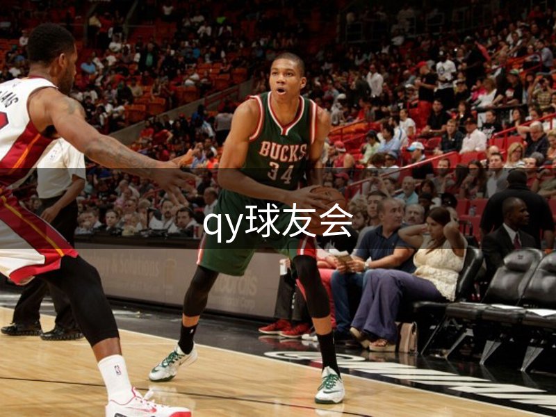 企业布局
